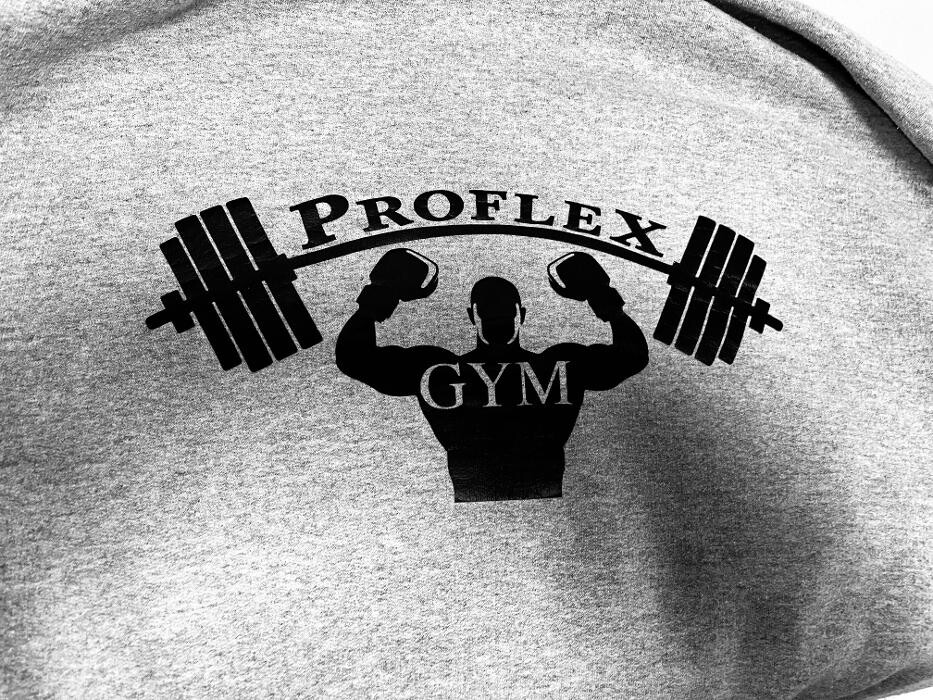 Proflex Gym Logo