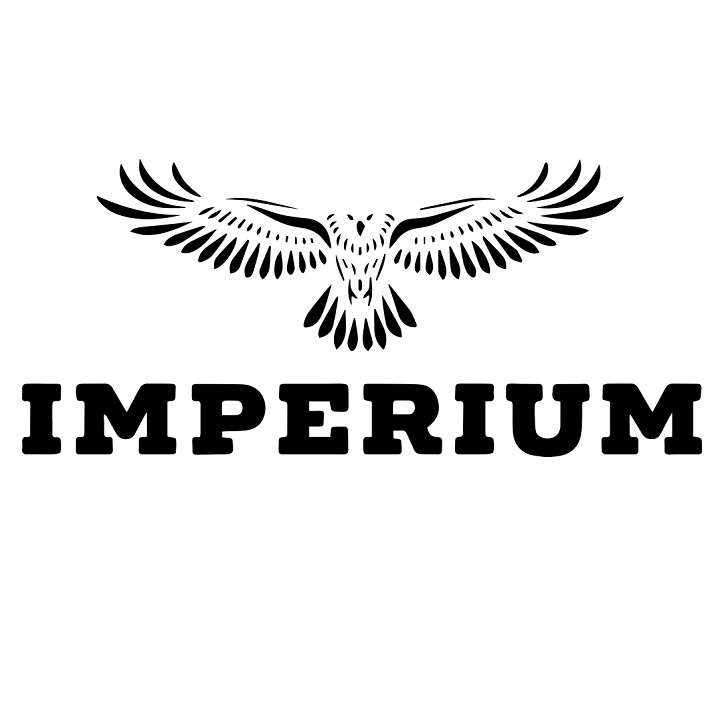 Imperium Security Ltd Logo