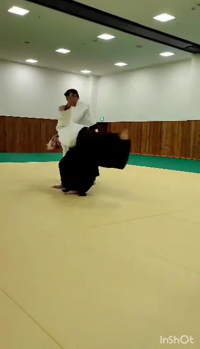 Images Yokohama International Aikido Devon
