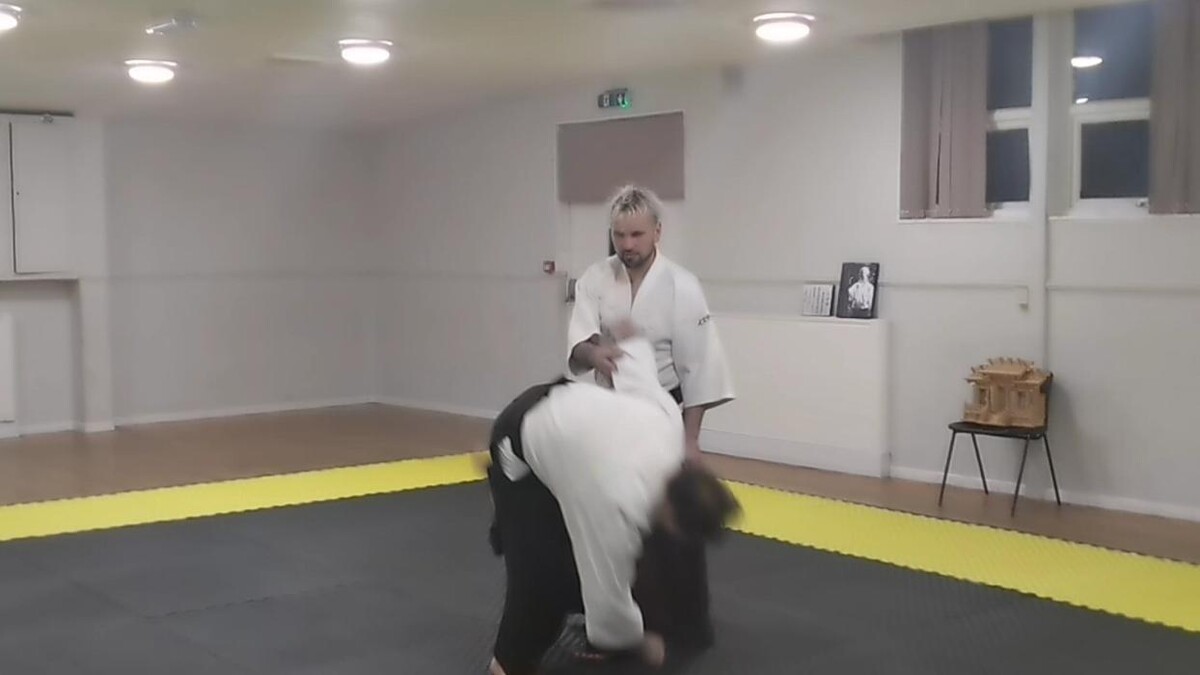Images Yokohama International Aikido Devon