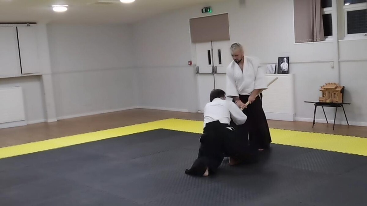 Images Yokohama International Aikido Devon