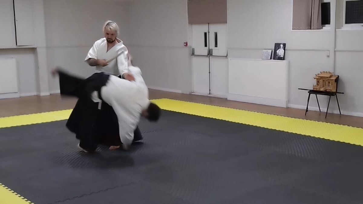 Images Yokohama International Aikido Devon