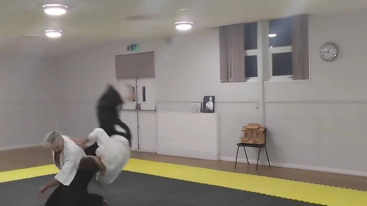 Images Yokohama International Aikido Devon