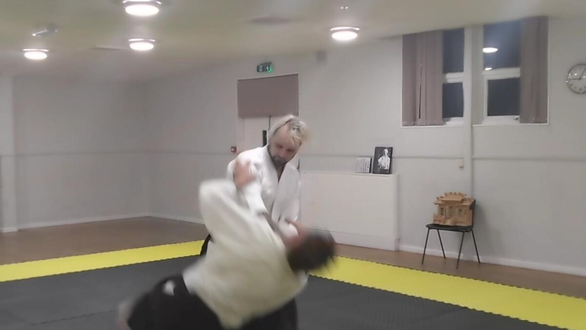 Images Yokohama International Aikido Devon
