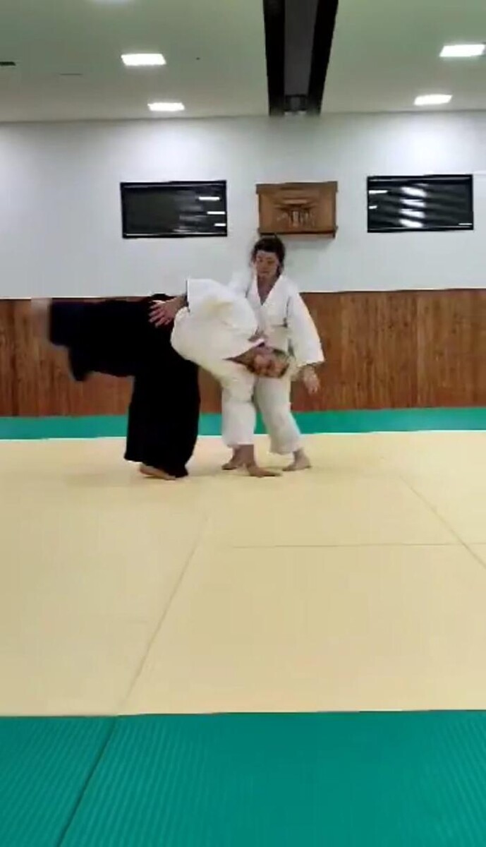 Images Yokohama International Aikido Devon