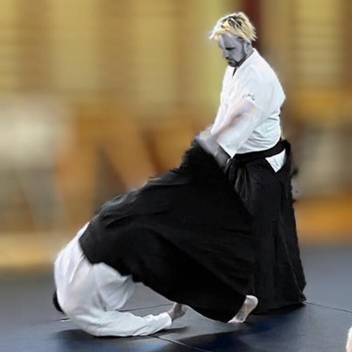 Images Yokohama International Aikido Devon