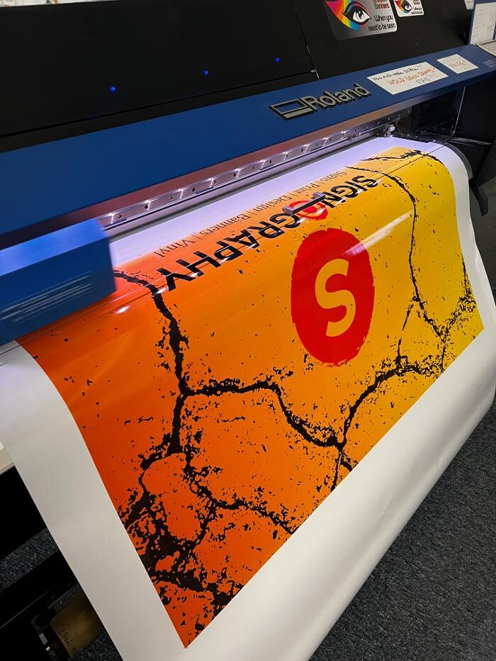 Images Signography Print