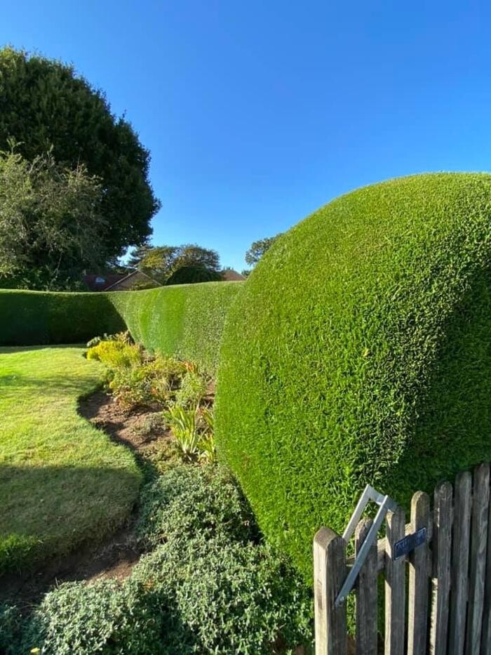 Images Hedges & Moor Services