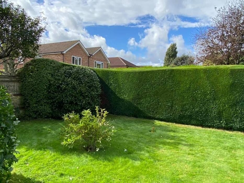 Images Hedges & Moor Services