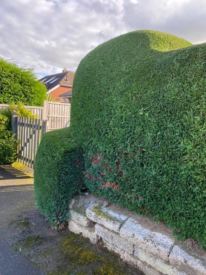 Images Hedges & Moor Services