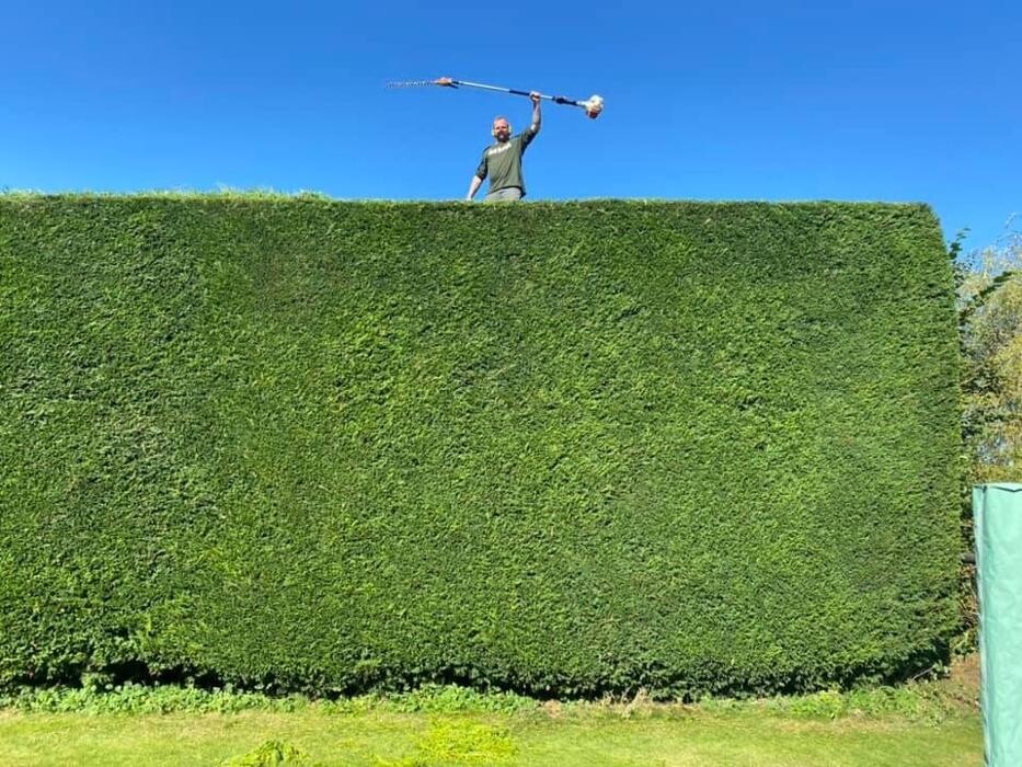 Images Hedges & Moor Services