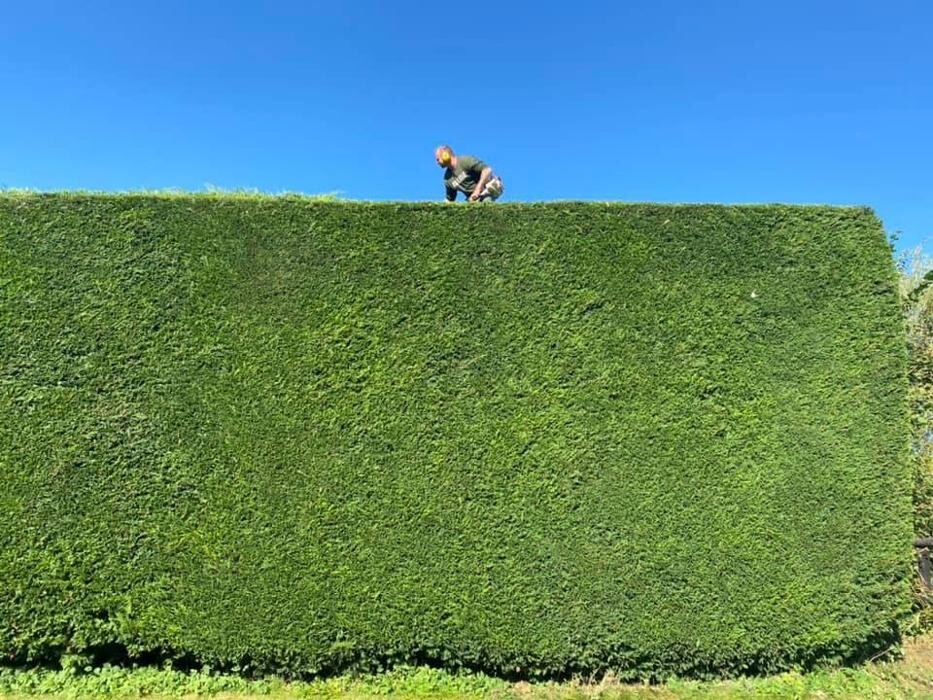 Images Hedges & Moor Services