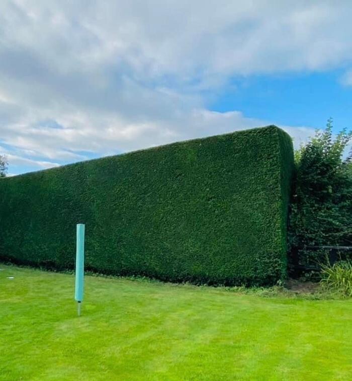 Images Hedges & Moor Services