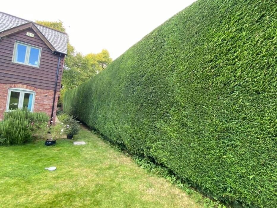 Images Hedges & Moor Services