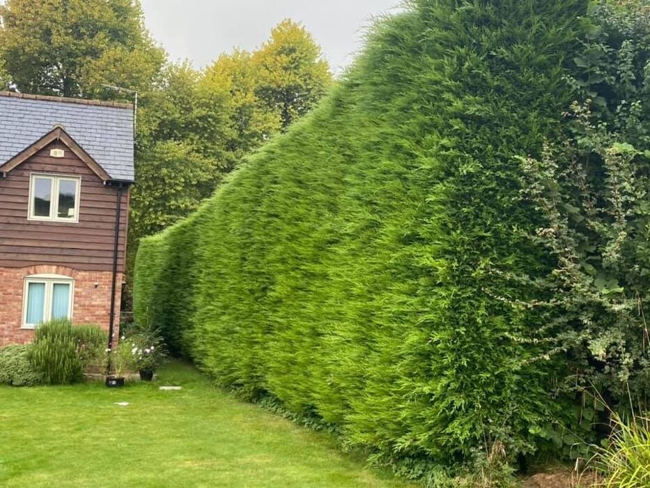 Images Hedges & Moor Services