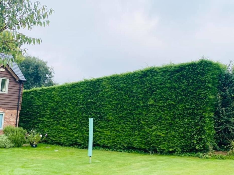 Images Hedges & Moor Services