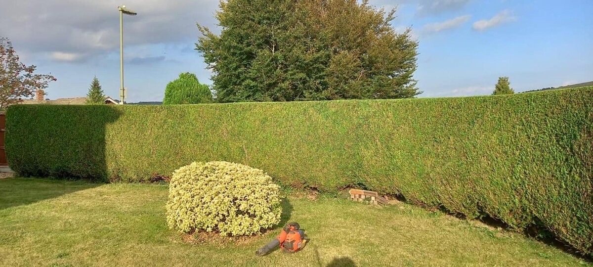 Images Hedges & Moor Services