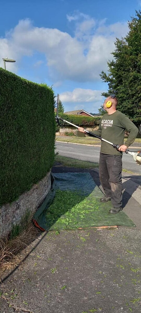 Images Hedges & Moor Services