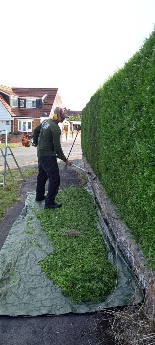 Images Hedges & Moor Services