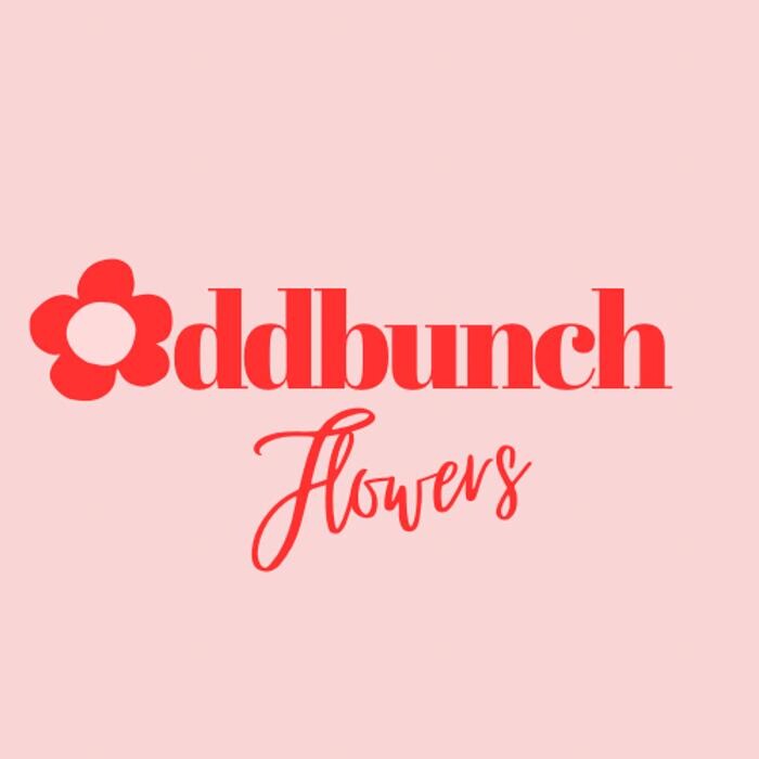 Oddbunch Ltd Logo