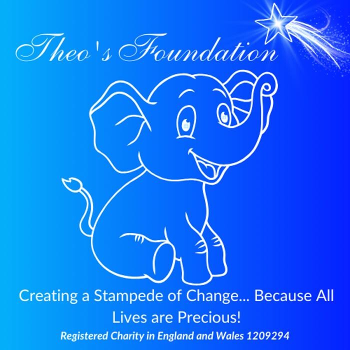 Images Theo's Foundation