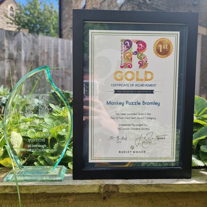 Images Monkey Puzzle Bromley Day Nursery & Preschool