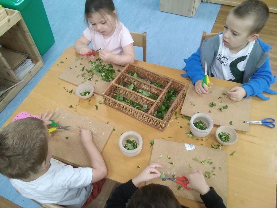 Images Monkey Puzzle Bedford Day Nursery & Preschool