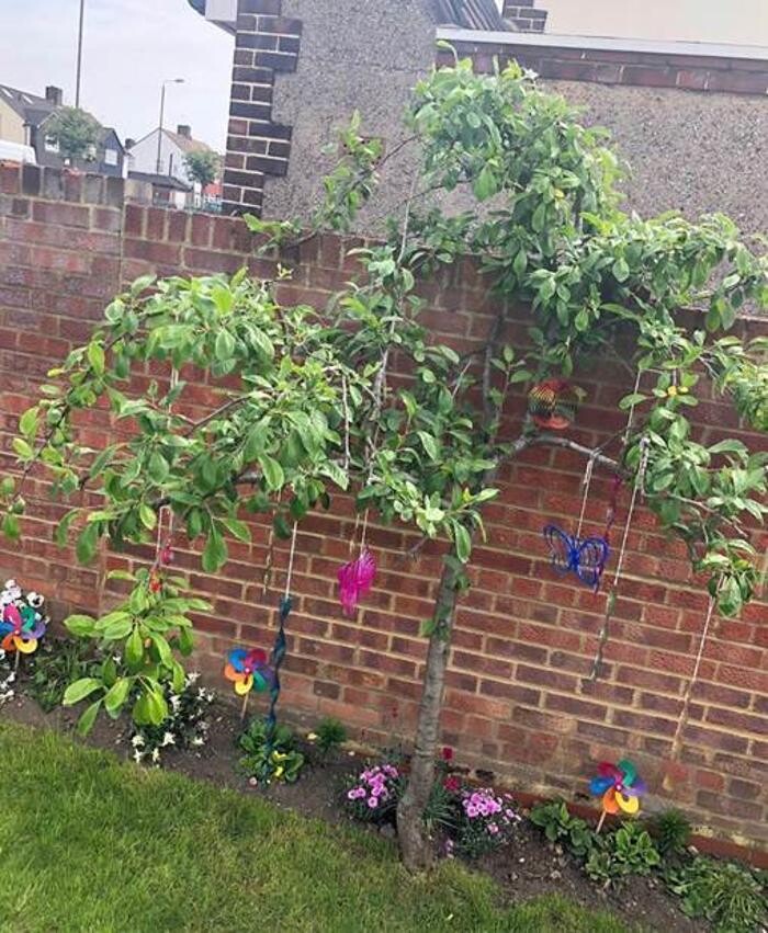 Images Monkey Puzzle Eltham Day Nursery & Preschool