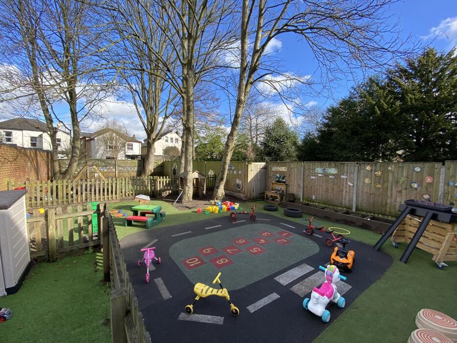 Images Monkey Puzzle Watford