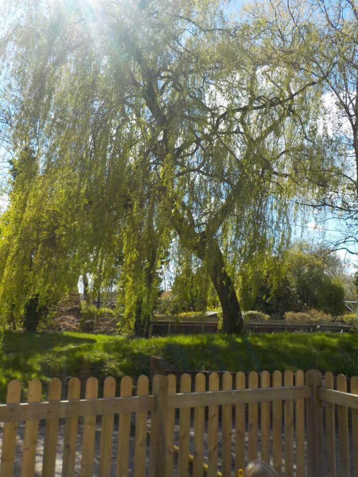 Images Monkey Puzzle Hartley Wintney Day Nursery & Preschool