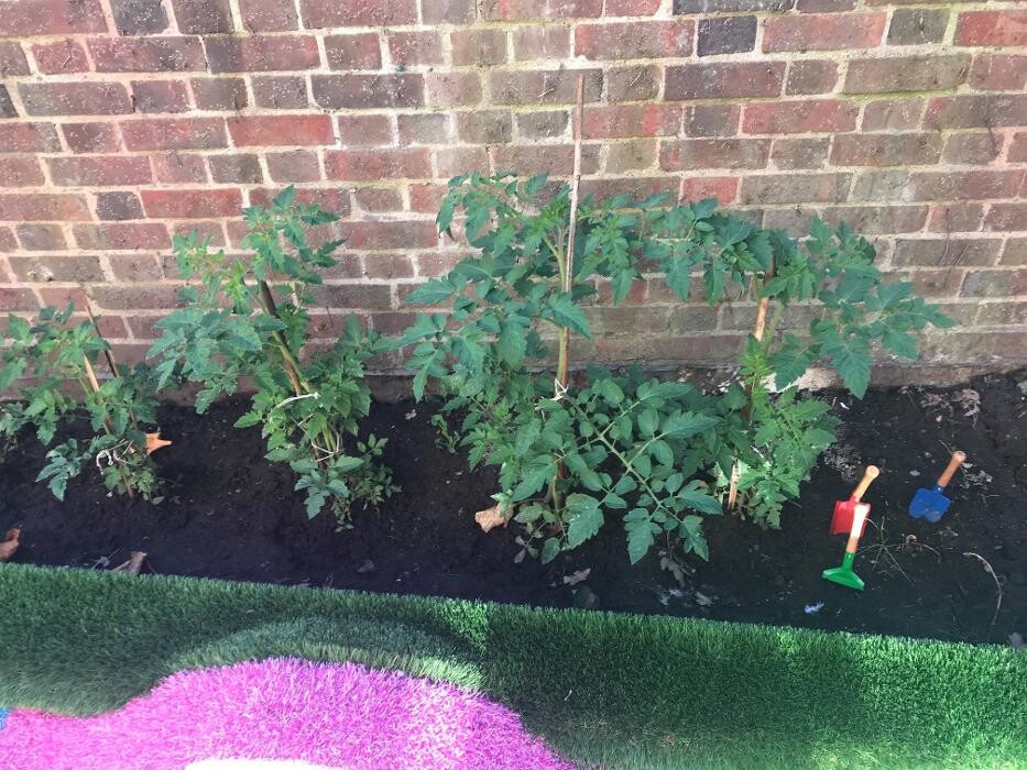 Images Monkey Puzzle Battersea Day Nursery & Preschool