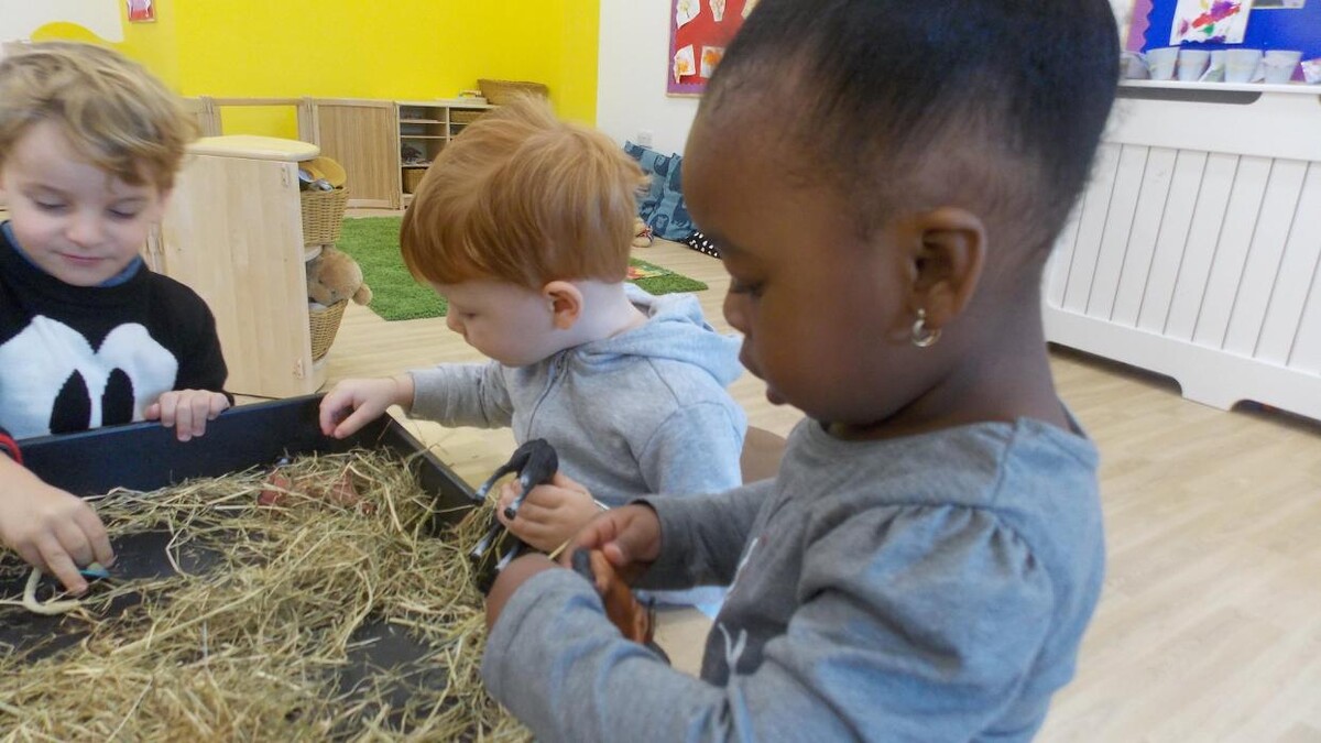 Images Monkey Puzzle Battersea Day Nursery & Preschool