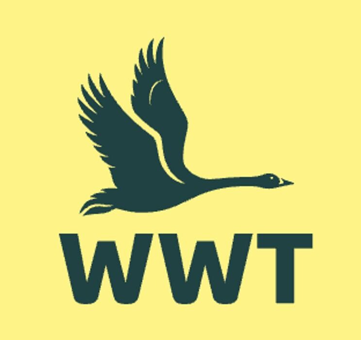 WWT Wildflower & Wetlands Trust Logo