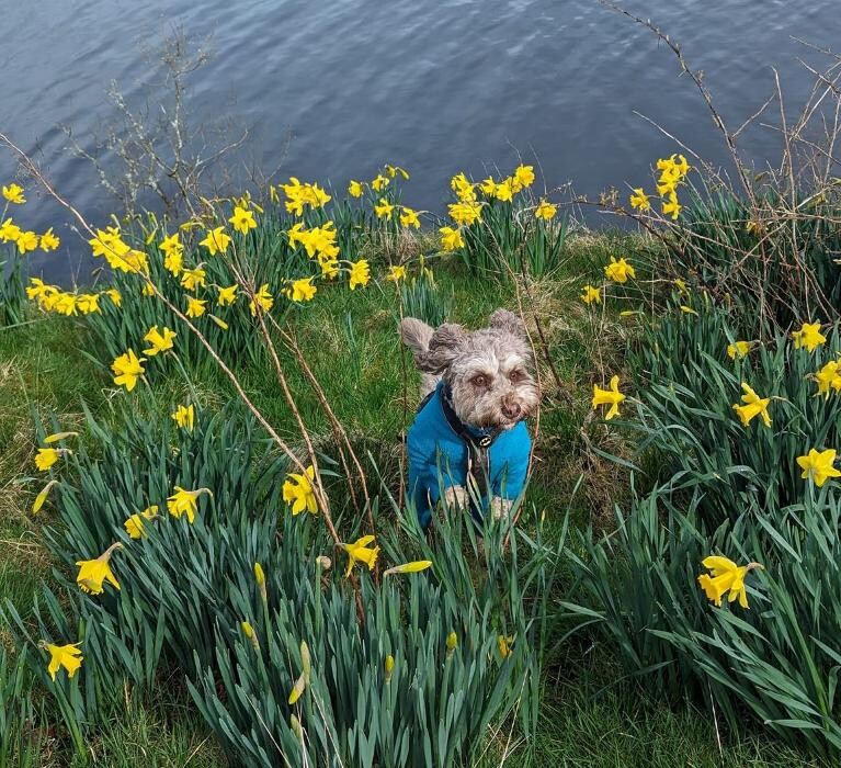 Images Winnie's Walks