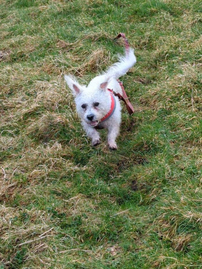 Images Winnie's Walks