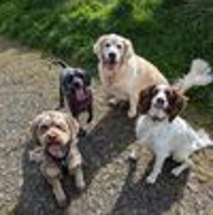 Images Winnie's Walks