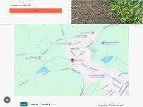 Website Screenshot Winnie's Walks