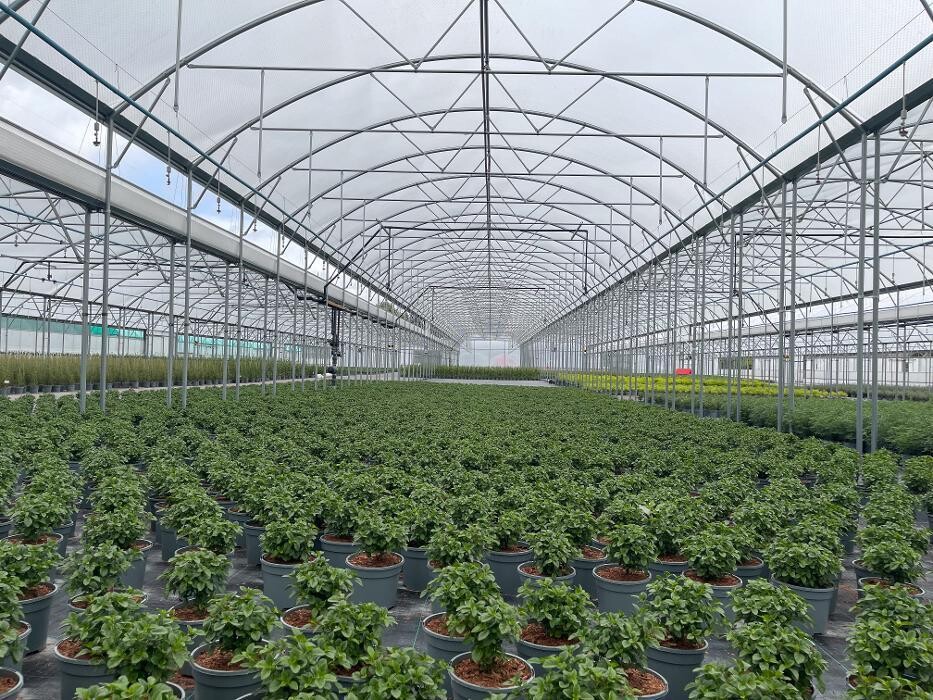 Images Keder Greenhouse Limited