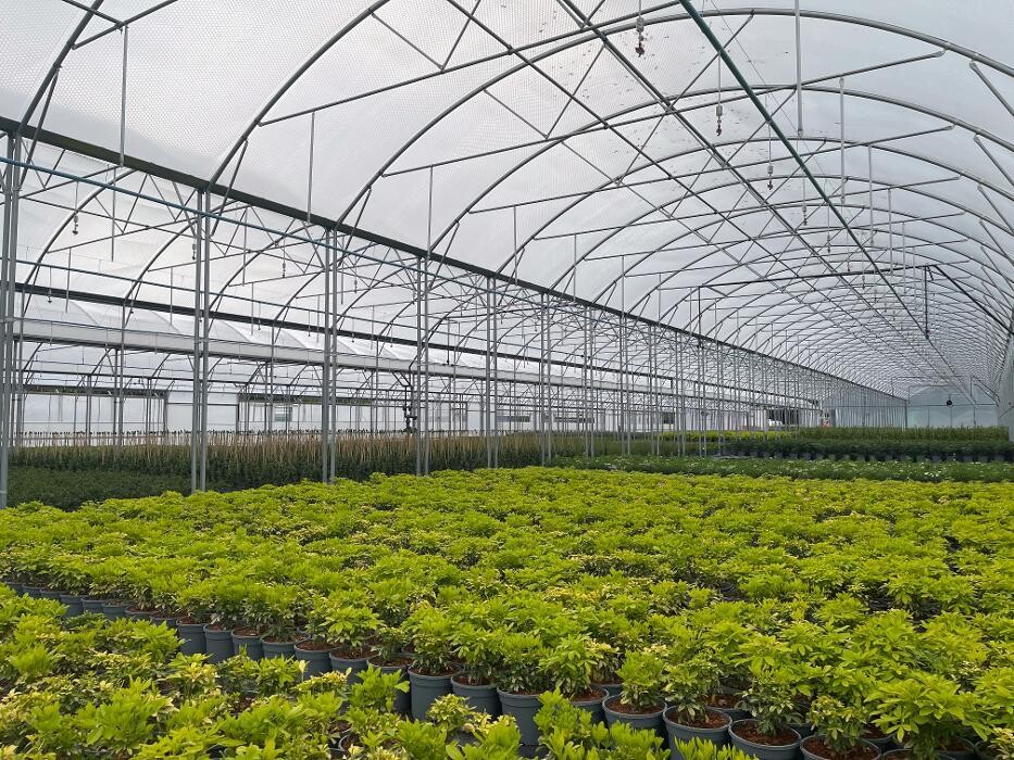 Images Keder Greenhouse Limited