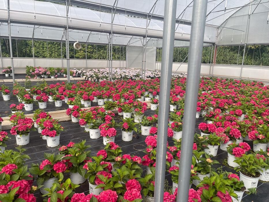 Images Keder Greenhouse Limited