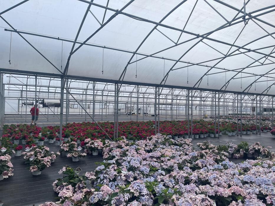 Images Keder Greenhouse Limited