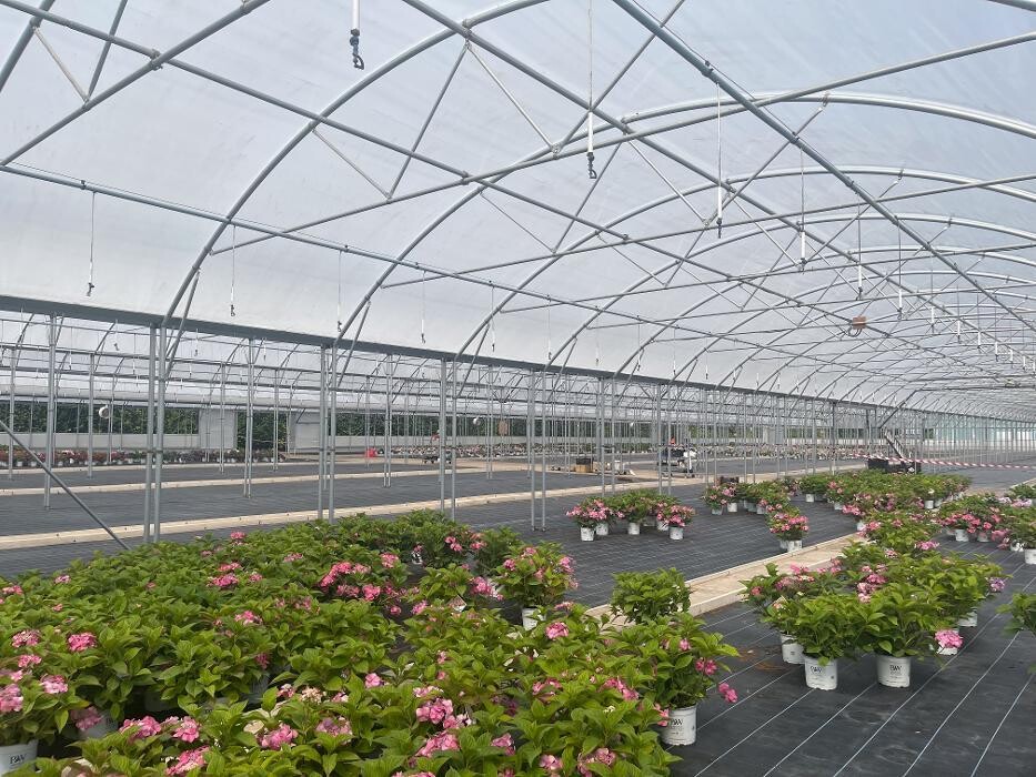 Images Keder Greenhouse Limited