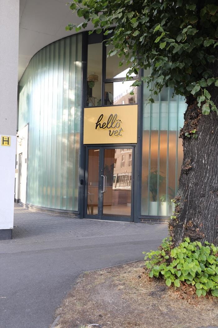 Images Hello Vet London Fields