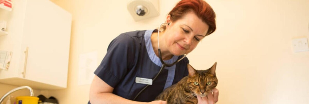 Images Croydon Veterinary Surgery