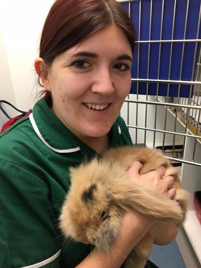 Images Croydon Veterinary Surgery