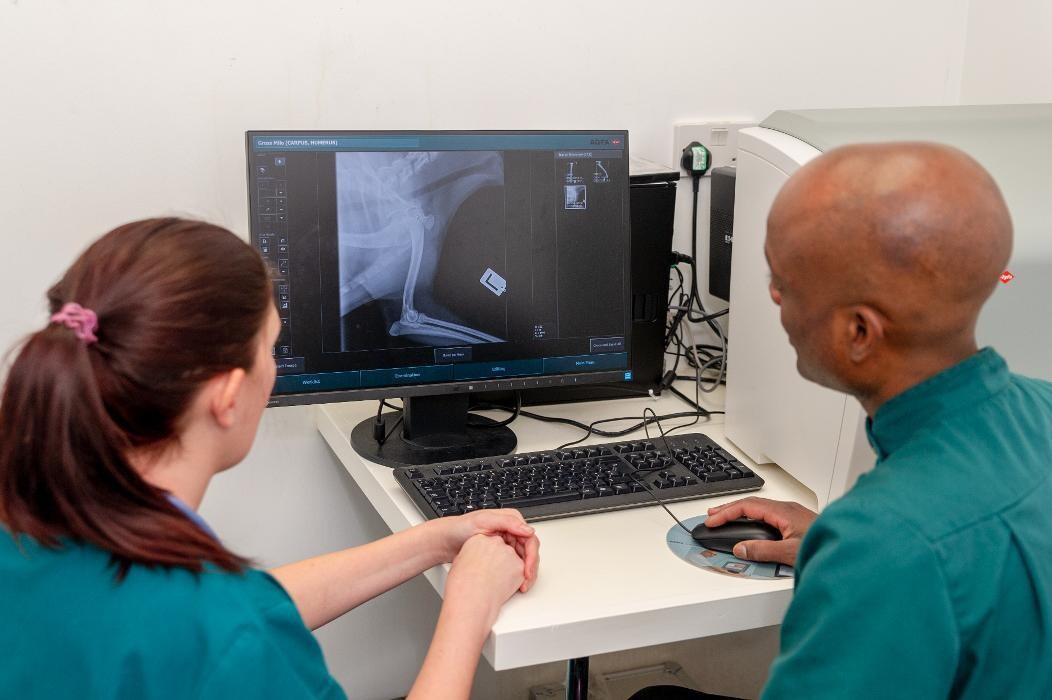 Images Croydon Veterinary Surgery