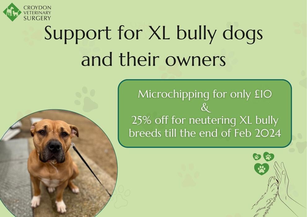 Images Croydon Veterinary Surgery