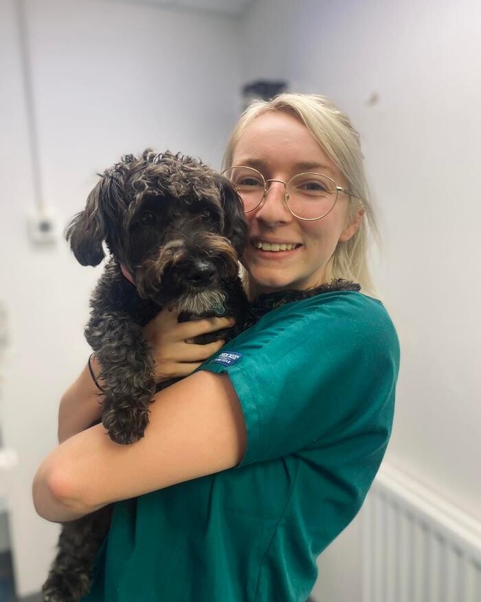 Images Croydon Veterinary Surgery