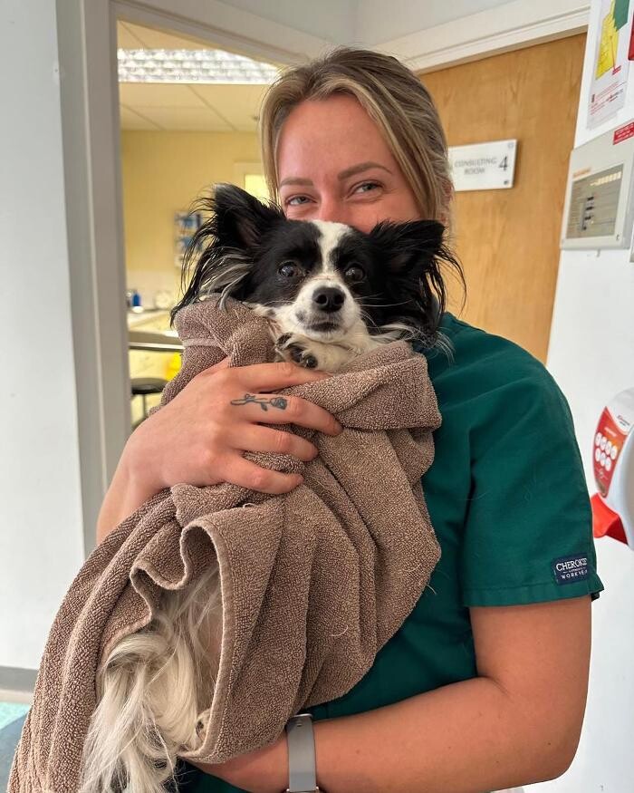 Images Croydon Veterinary Surgery