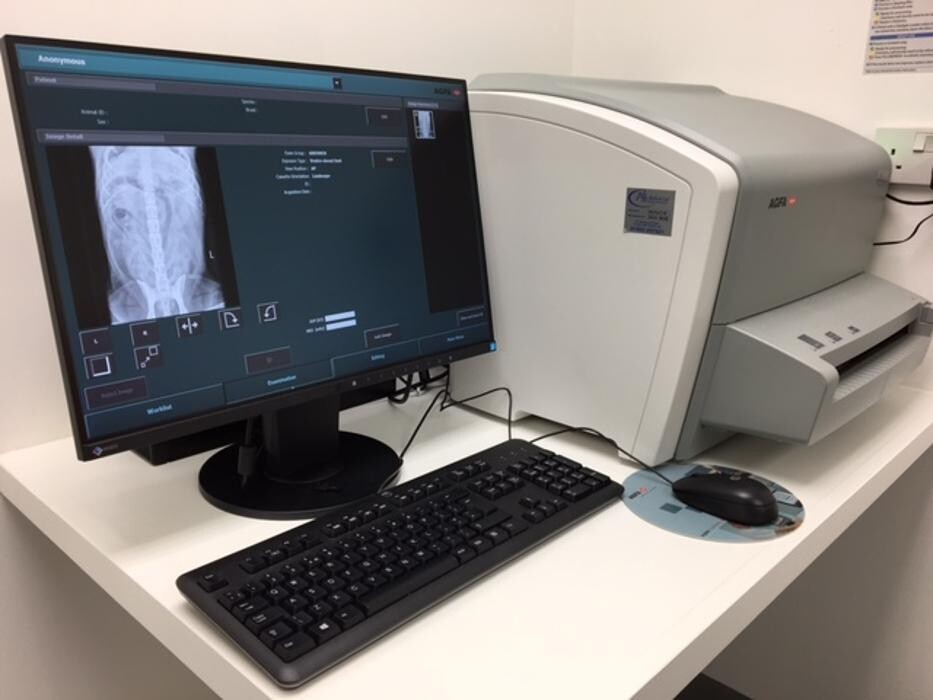 Images Croydon Veterinary Surgery